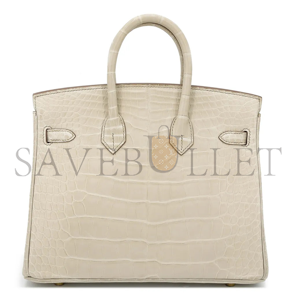 HERMÈS MASTER BIRKIN 20 CROCODILE LEATHER GLACIER WHITE GOLD BUCKLE H041350CK10 (20*15.5*11cm)